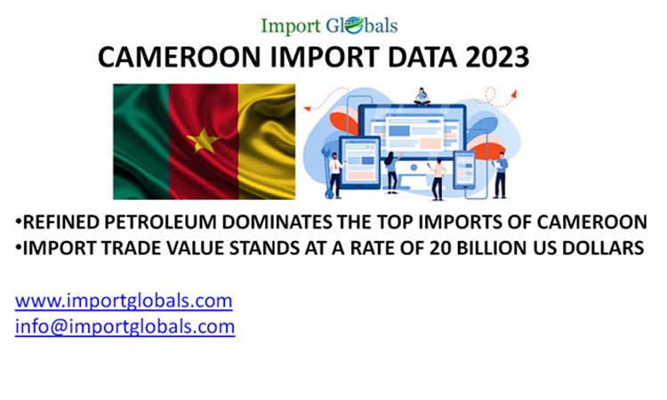 Cameroon Import Data: an Overview of the Top Imported Products Cameroon Import Data: an Overview of the Top Imported Products