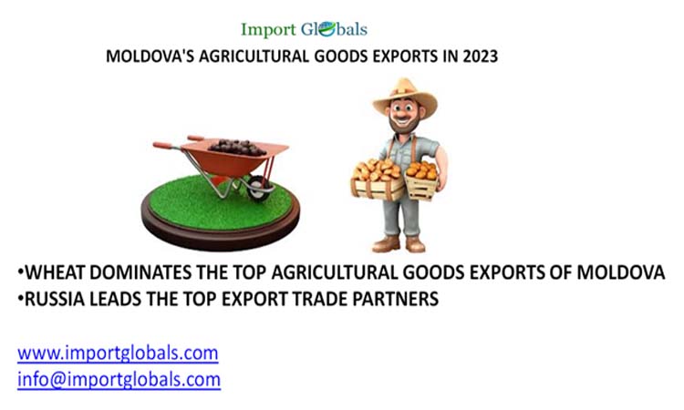 Overview of Moldova's Agricultural Goods Exports in 2023 Overview of Moldova's Agricultural Goods Exports in 2023