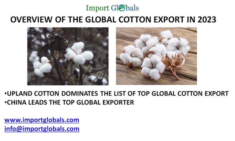 Overview of the Global Cotton Export in 2023 Overview of the Global Cotton Export in 2023