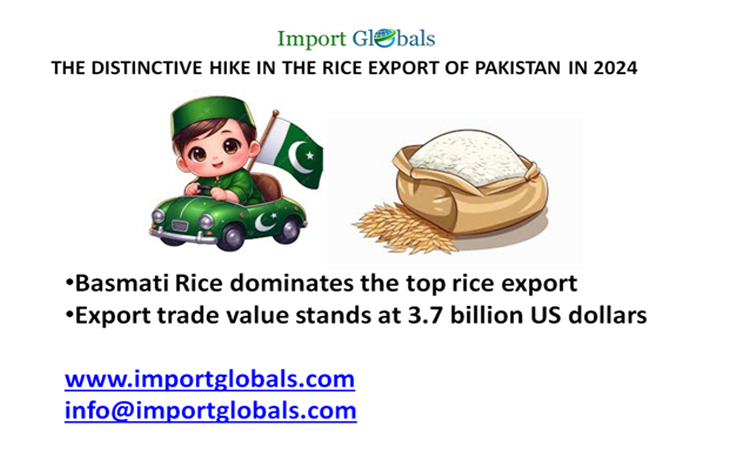 The Distinctive Hike in the Rice Export of Pakistan in 2024 The Distinctive Hike in the Rice Export of Pakistan in 2024