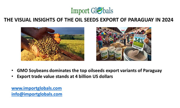 The Visual Insights of the Oil Seeds Export of Paraguay in 2024 The Visual Insights of the Oil Seeds Export of Paraguay in 2024