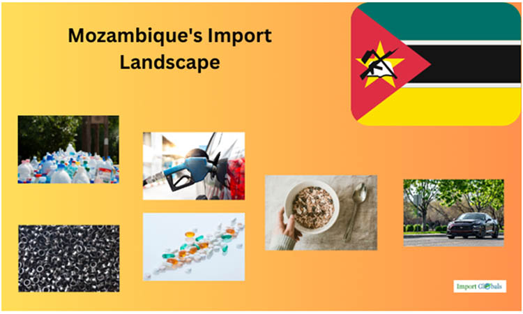 Mozambique's Import Landscape: A Detailed Review Mozambique's Import Landscape: A Detailed Review