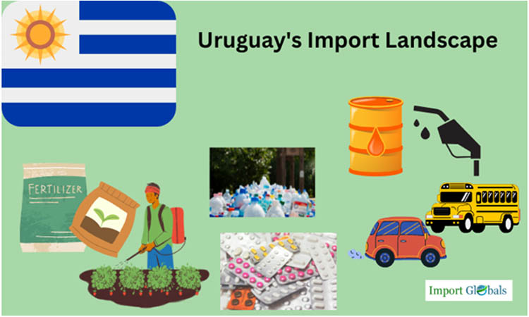 Uruguay's Import Landscape: A Thorough Study Uruguay's Import Landscape: A Thorough Study
