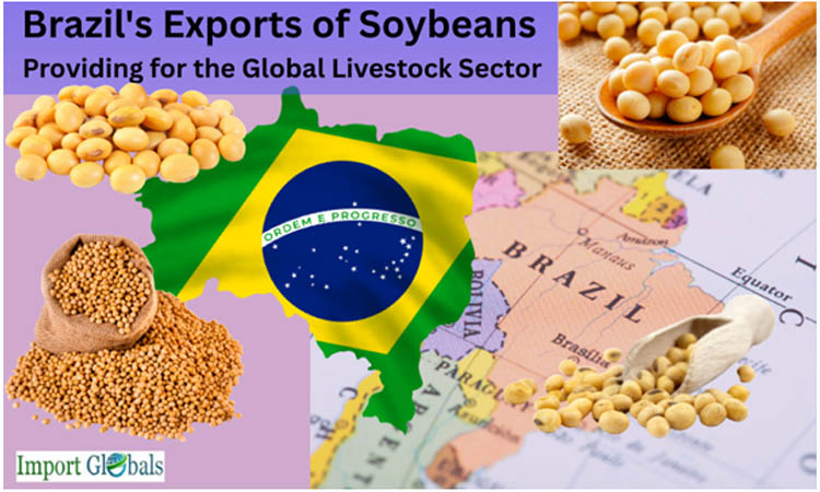 Brazil's Exports of Soybeans: Providing for the Global Livestock Sector Brazil's Exports of Soybeans: Providing for the Global Livestock Sector