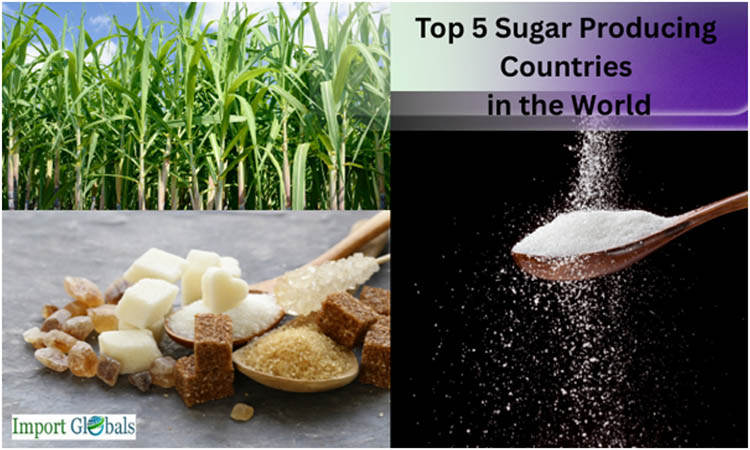 Top 5 Sugar Producing Countries in the World Top 5 Sugar Producing Countries in the World