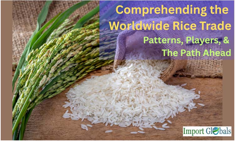 Comprehending the Worldwide Rice Trade: Patterns, Players, and the Path Ahead Comprehending the Worldwide Rice Trade: Patterns, Players, and the Path Ahead
