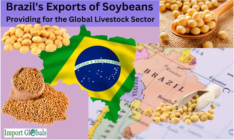 Brazil's Exports of Soybeans: Providing for the Global Livestock Sector Brazil's Exports of Soybeans: Providing for the Global Livestock Sector