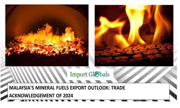 Malaysia's Mineral Fuels Export Outlook: Trade Acknowledgement of 2024