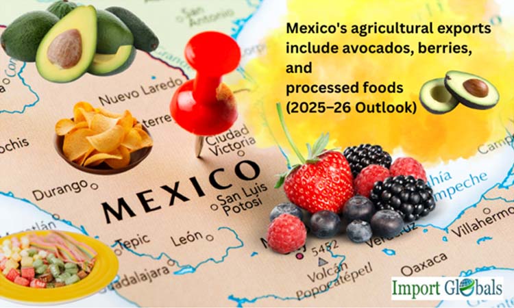 Mexico's Agricultural Exports Include Avocados, Berries, and Processed Foods (2025–26 Outlook)