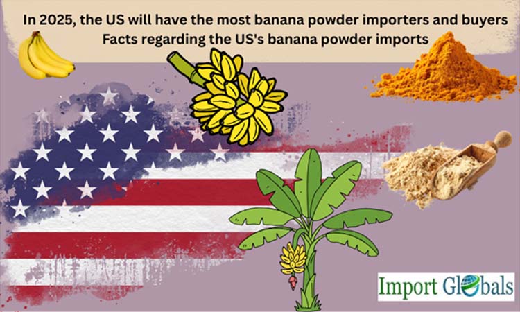 In 2025, the US will have the most banana powder importers and buyers: Facts regarding the US's banana powder Imports